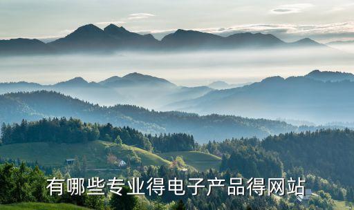 有哪些專業(yè)得電子產(chǎn)品得網(wǎng)站
