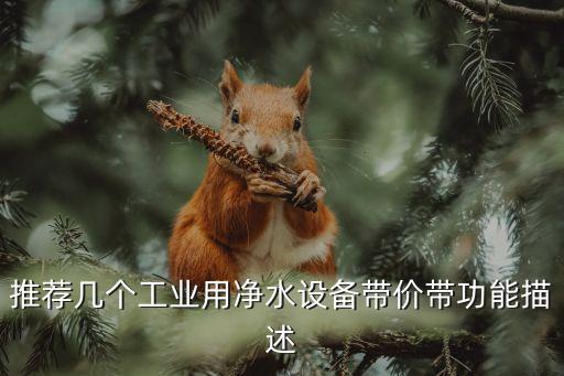 推薦幾個工業(yè)用凈水設(shè)備帶價帶功能描述