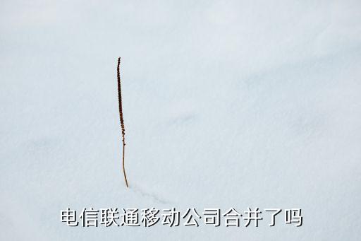 電信聯(lián)通移動(dòng)公司合并了嗎