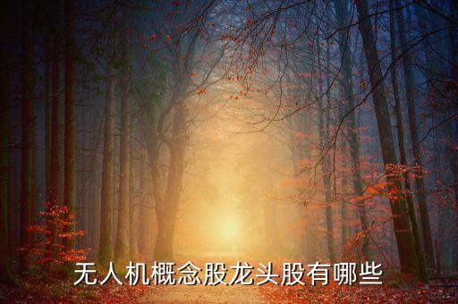 無人機(jī)概念股龍頭股有哪些