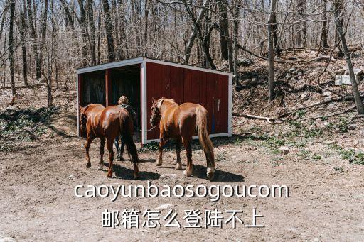 caoyunbaosogoucom郵箱怎么登陸不上