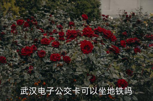武漢電子公交卡可以坐地鐵嗎