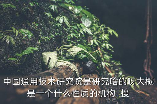 中國通用技術(shù)研究院是研究啥的呀大概是一個什么性質(zhì)的機構(gòu)  搜