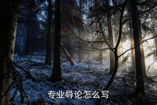 專(zhuān)業(yè)導(dǎo)論怎么寫(xiě)