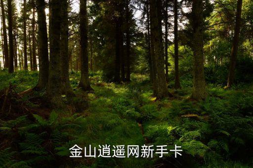 金山逍遙網(wǎng)新手卡