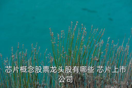 芯片概念股票龍頭股有哪些 芯片上市公司