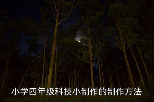 小學(xué)四年級(jí)科技小制作的制作方法