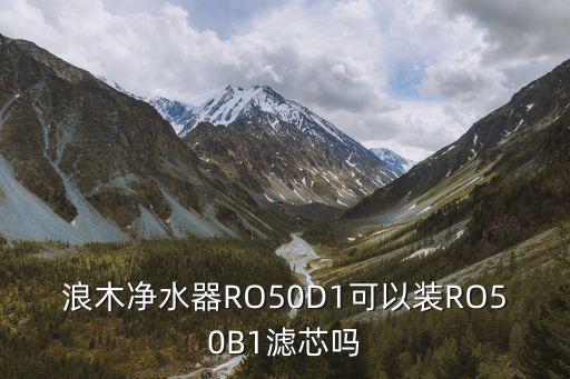 浪木凈水器RO50D1可以裝RO50B1濾芯嗎