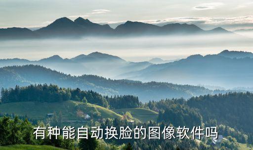 有種能自動換臉的圖像軟件嗎