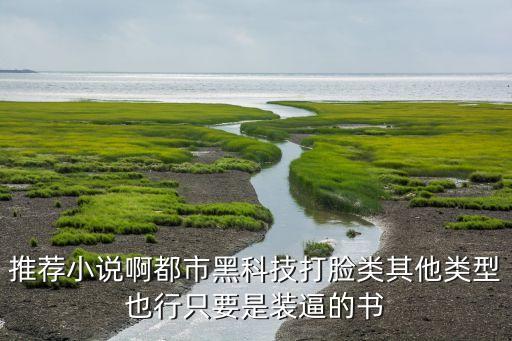 推薦小說(shuō)啊都市黑科技打臉類其他類型也行只要是裝逼的書
