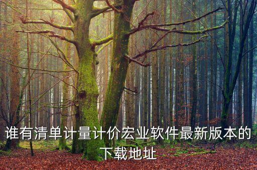 誰(shuí)有清單計(jì)量計(jì)價(jià)宏業(yè)軟件最新版本的下載地址