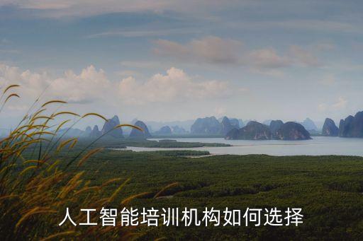 人工智能培訓(xùn)機(jī)構(gòu)如何選擇