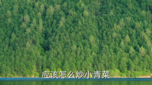 應該怎么炒小青菜