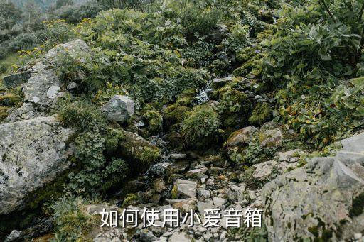智能茶吧機語音小愛如何使用，如何使用小愛音箱