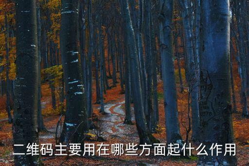 二維碼主要用在哪些方面起什么作用