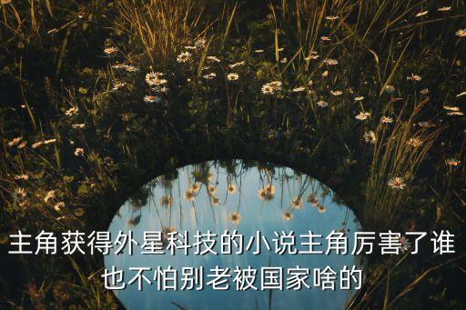 主角獲得外星科技的小說主角厲害了誰也不怕別老被國家啥的
