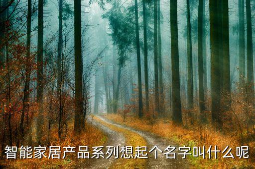 智能科技產品起名大全四字開頭，智能家居產品系列想起個名字叫什么呢