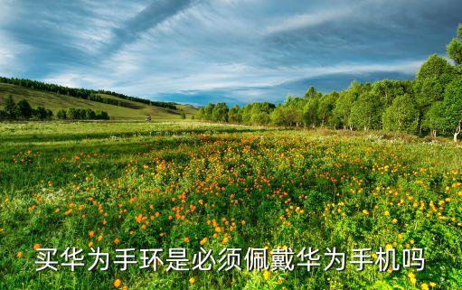 買華為手環(huán)是必須佩戴華為手機(jī)嗎