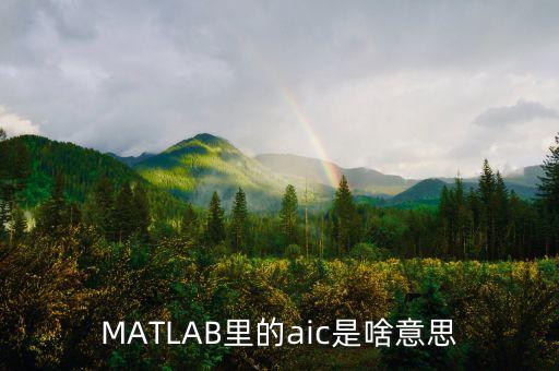 MATLAB里的aic是啥意思