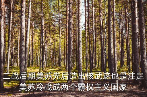 二戰(zhàn)后期美蘇先后造出核武這也是注定美蘇冷戰(zhàn)成兩個(gè)霸權(quán)主義國(guó)家