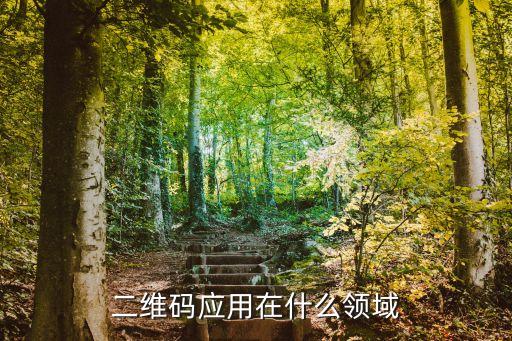 二維碼作用及應(yīng)用范圍，二維碼主要用在哪些方面起什么作用