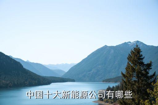 中國(guó)十大新能源公司有哪些