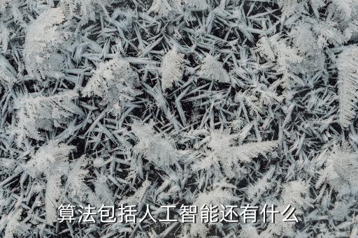 算法包括人工智能還有什么
