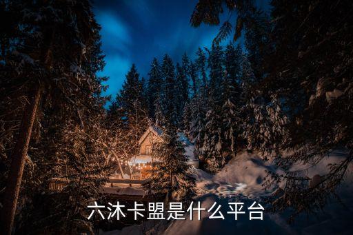 六恩卡盟，六恩卡盟刷會員掉了怎么補