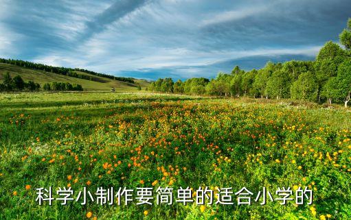 科學小制作要簡單的適合小學的