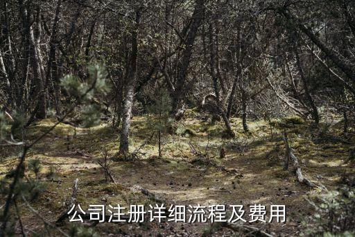 注冊公司流程及費用2022，注冊一個公司需要哪些手續(xù)費用多少