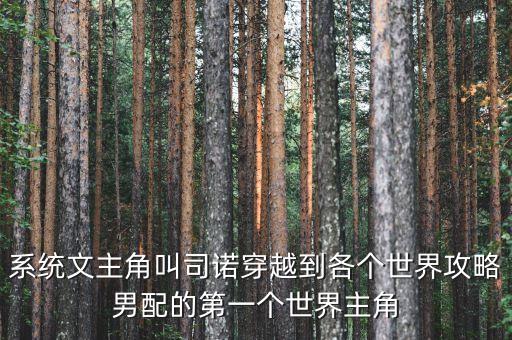 系統(tǒng)文主角叫司諾穿越到各個世界攻略男配的第一個世界主角