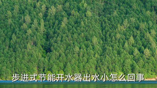 智能飲水機取水時水流小，步進式節(jié)能開水器出水小怎么回事