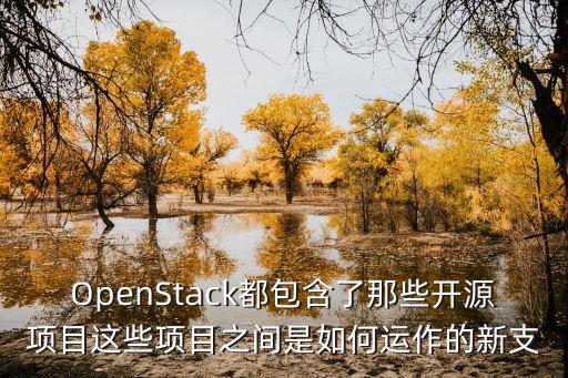OpenStack都包含了那些開源項目這些項目之間是如何運作的新支
