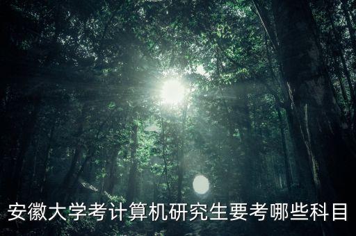 安徽大學(xué)考計(jì)算機(jī)研究生要考哪些科目