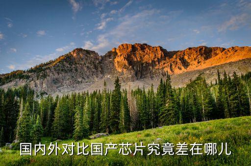 國內(nèi)外對比國產(chǎn)芯片究竟差在哪兒