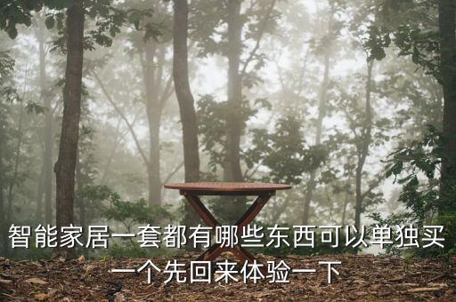 智能家居一套都有哪些東西可以單獨(dú)買一個(gè)先回來體驗(yàn)一下