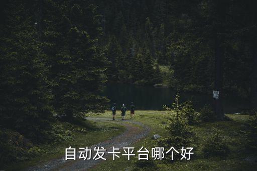 自動(dòng)發(fā)卡平臺(tái)哪個(gè)好