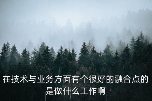 業(yè)務(wù)與技術(shù)如何更好的融合，在技術(shù)與業(yè)務(wù)方面有個很好的融合點的是做什么工作啊
