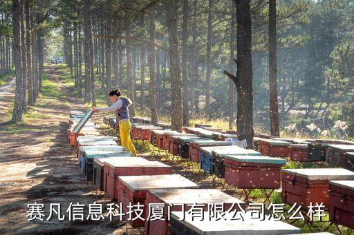 賽凡信息科技廈門有限公司怎么樣