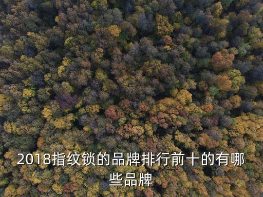 智能指紋鎖品牌排名，十大智能鎖名牌排行榜有哪些牌子做得比較好的