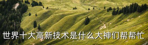 世界十大高新技術(shù)是什么大神們幫幫忙