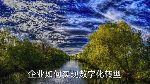 企業(yè)如何實現(xiàn)數(shù)字化轉(zhuǎn)型