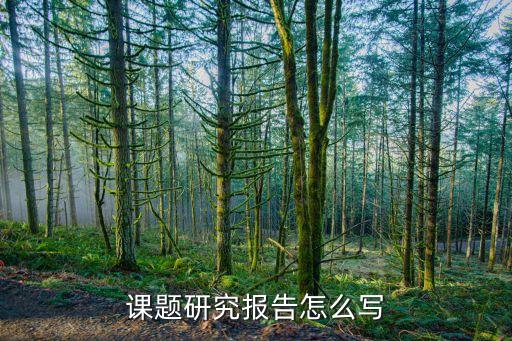 課題研究報(bào)告，課題研究報(bào)告怎么寫哇