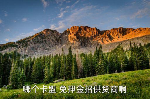 代掛卡盟，哪個(gè)卡盟 免押金招供貨商啊