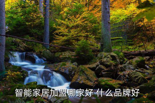 智能家居加盟哪家好 什么品牌好