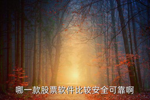 哪一款股票軟件比較安全可靠啊