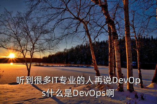 聽到很多IT專業(yè)的人再說DevOps什么是DevOps啊