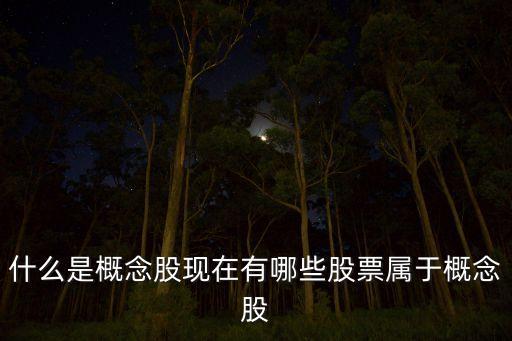 什么是概念股 都有哪些股，什么是概念股包括什么