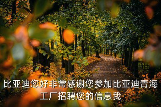 比亞迪您好非常感謝您參加比亞迪青海工廠招聘您的信息我