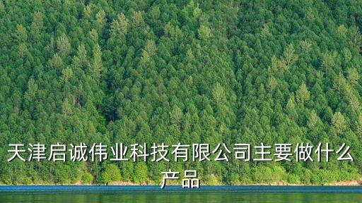 天津啟誠偉業(yè)科技有限公司主要做什么產(chǎn)品